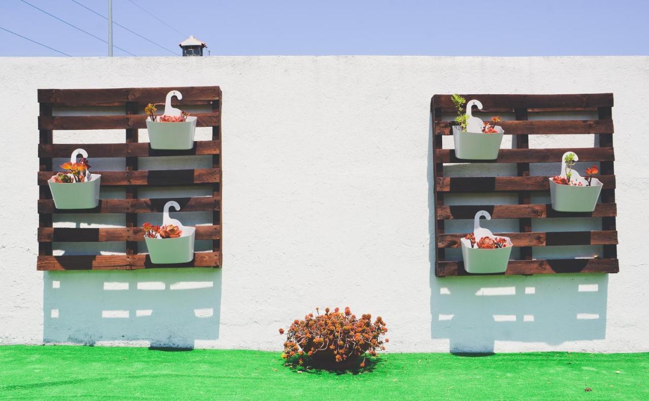 فندق Tree House - Casa Figueira سيسيمبرا المظهر الخارجي الصورة